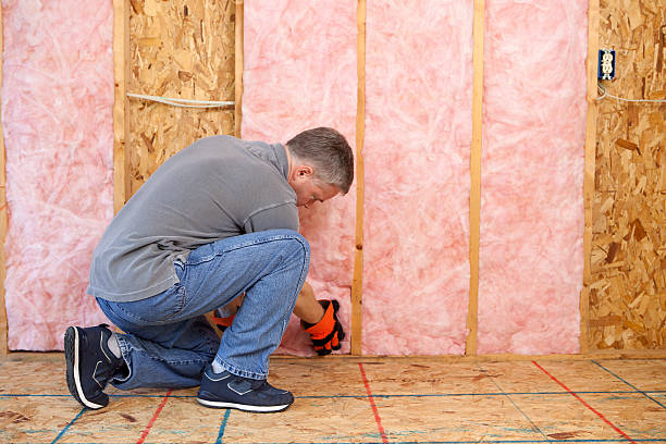 Best Professional Insulation Contractor  in Sandy Oaks, TX