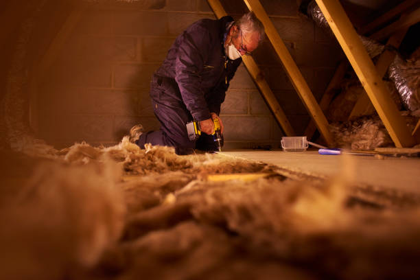 Best Blown-in Insulation  in Sandy Oaks, TX