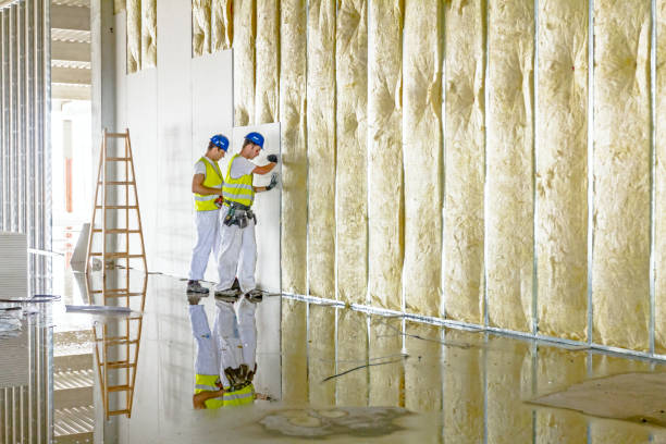 Best Affordable Insulation Services  in Sandy Oaks, TX
